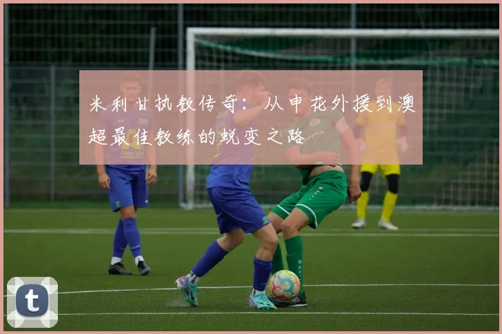 米利甘执教传奇：从申花外援到澳超最佳教练的蜕变之路