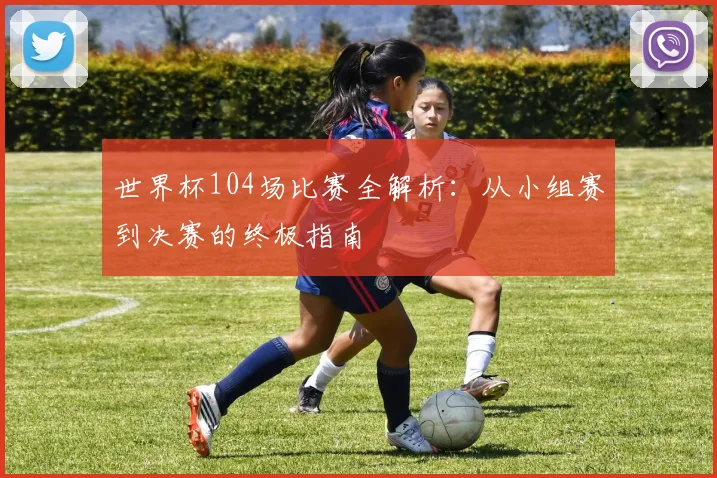 世界杯104场比赛全解析：从小组赛到决赛的终极指南